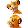 5-removebg-preview.png