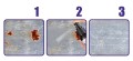 description-image-4.jpeg