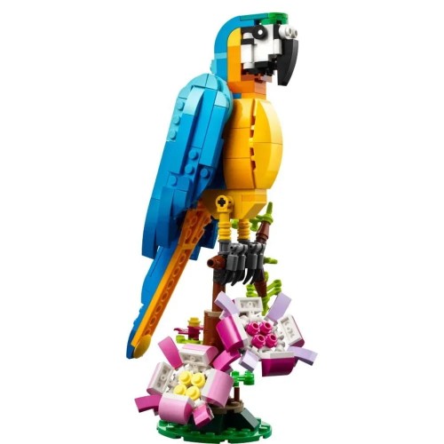 description-image-2.jpeg