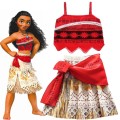 description-image-2.jpeg